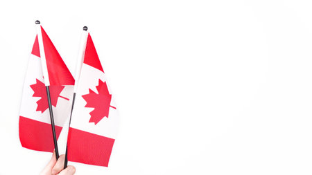 Hand proudly waving the national flag of Canada. Canada day, vote.の写真素材