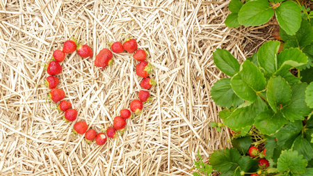 Photo of heart-shaped fresh strawberries on a straw background. Perfect for Valentine s Day or any occasion. Great for wallpaper, blogs, or marketing. Ideal for love-themed content.の写真素材