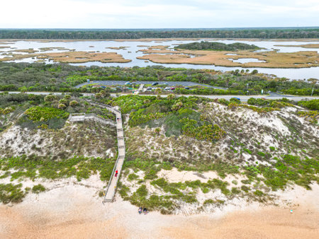 A scenic wooden walkway winds through coastal dunes, leading visitors to a serene beach. Lush sea oats and native grasses frame the path, highlighting the area s natural beauty and tranquility.の写真素材