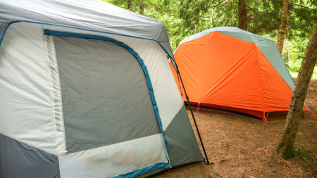 Two colorful camping tents are set up in the lush green woods, surrounded by tall trees. The tents are pitched on a level patch of ground, providing a cozy outdoor space for camping enthusiasts.の写真素材