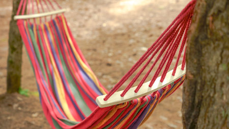 A vibrant, colorful striped hammock is gracefully hanging between two tall trees in a peaceful forest. The hammock remains empty, gently swaying back and forth in the soft breeze, inviting relaxation.の写真素材