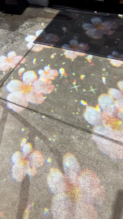 This image features stunning light and shadow interplay, showcasing floral patterns on a textured concrete surface. The refracted light adds a magical touch, ideal for creative projects.の写真素材