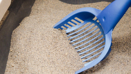 A blue scoop is shown removing clumping litter from a cat s litter box. This image highlights the importance of pet hygiene and maintaining a clean environment for cats.の写真素材