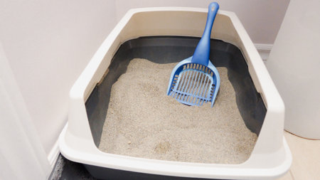 A modern cat litter box filled with fresh litter, featuring a blue scoop inside. This image symbolizes cleanliness and responsible pet care, ideal for pet supply stores and articles.の写真素材