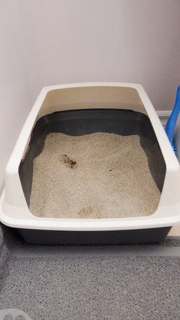 A gray and white cat litter box filled with sand-like litter, containing clumps of waste. It offers a hygienic area for cats to relieve themselves, needing scooping and cleaning.の写真素材