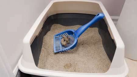 A blue scoop with cat feces inside a clean litter box filled with sand. Maintaining a clean litter box is essential for your cat s health and happiness. Proper hygiene prevents odors and diseases.の写真素材