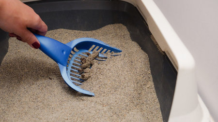 Close-up of a person cleaning a cat litter box with a blue scoop. The litter box is filled with sand-like litter. Maintaining cleanliness and hygiene for pets, ensuring a fresh home environment.の写真素材