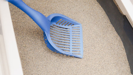 A blue plastic scoop is in a cat litter box filled with litter. This highlights the importance of pet hygiene and maintaining a clean, odor-free space for indoor cats and their owners.の写真素材