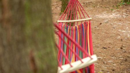 A vibrant, colorful striped hammock is gracefully hanging between two tall trees in a peaceful forest. The hammock remains empty, gently swaying back and forth in the soft breeze, inviting relaxation.の写真素材