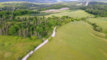 A beautiful green hillside landscape featuring a winding road that meanders through lush trees and vibrant wildflowers, creating a serene setting perfect for peaceful exploration and adventure.の写真素材