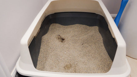 A used cat litter box sits indoors, filled with litter and waste. It is an essential item for pet owners, requiring regular cleaning to maintain a tidy and hygienic living environment for cats.の写真素材