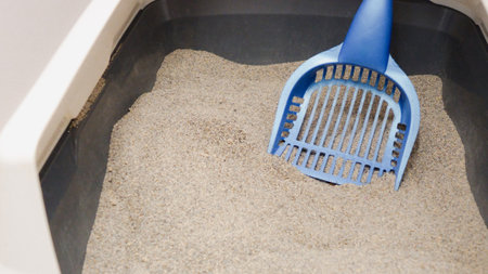 A clean cat litter box filled with fresh sand and a blue scoop represents responsible pet care. It emphasizes the importance of hygiene and maintaining a fresh environment for pets.の写真素材