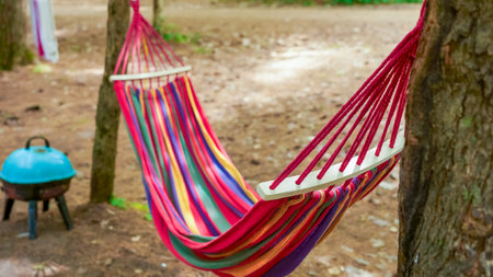 Vibrant hammock hangs between trees in a tranquil outdoor space, surrounded by nature, creating a perfect spot for relaxation and leisureの写真素材