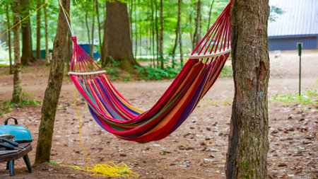 Colorful hammock hangs between trees in a tranquil forest, surrounded by greenery and soft earth, creating a peaceful outdoor retreat for relaxationの写真素材