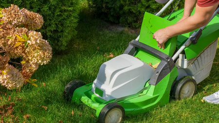 Individual operates electric lawn mower to maintain grass in a garden, surrounded by lush greenery...
