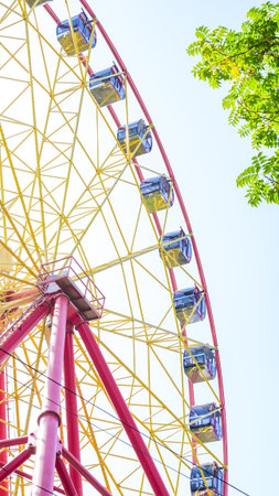 Vibrant ferris wheel stands tall against a clear blue sky, with green leaves framing the scene, evoking joy and adventure in amusement parksの写真素材