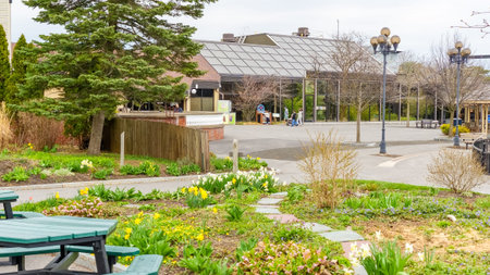 Syracuse NY, United States - August 31, 2025: Beautiful park scene showcasing colorful flowers and greenery, with a pavilion and pathways for leisurely strollsのeditorial素材