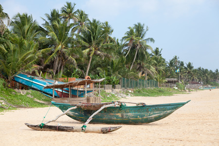 Colorful Sri Lankan fishing boat on sandy beach with palm trees in the background.の写真素材
