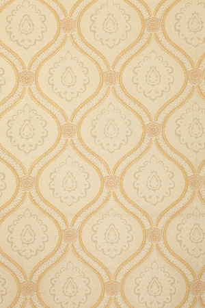 An empty room with beige and golden ornamental vintage wallpaper.の写真素材