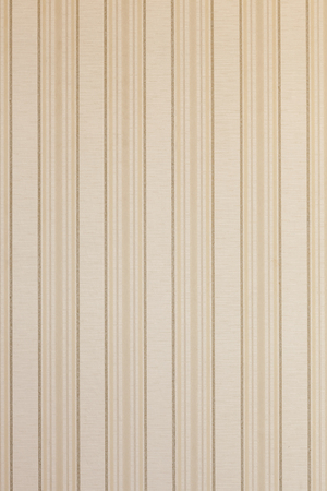 An empty room with a striped vintage wallpaper.の写真素材