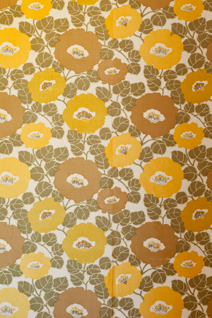 An empty room with brown and yellow floral ornament vintage wallpaper.の写真素材