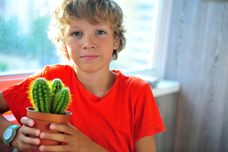Portrait of a boy with cactus on balconyの写真素材
