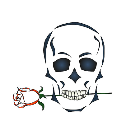 Skull holds a rose in his teeth. Skull on a white background.のイラスト素材