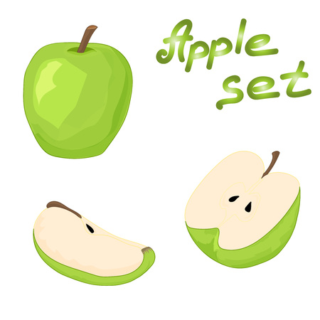 Set of whole green apple, half an apple and a slice of apple. Collection green apple. Hand drawing. Vector illustration.のイラスト素材