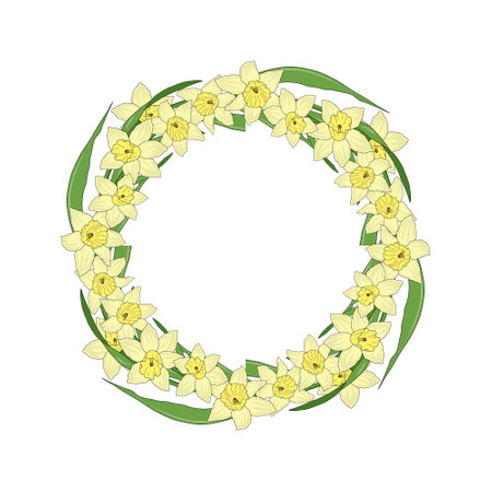 Wreath frame made of flowers and narcissus leaves. Design elements for summer and spring greeting cards. Hand drawing. Illustration.のイラスト素材