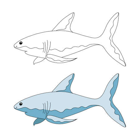 Hand drawing of a shark. Cartoon style. Vector illustration. Shark is colorful and outline.のイラスト素材
