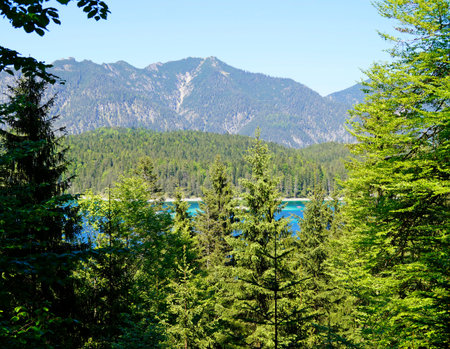 Panoramic view of the lake and the mountains in the background