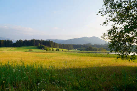 Hiking trail overlooking scenic Attlesee lake in the Bavarian Alps, Nesselwang, Allgaeu or Allgau, Germanyの写真素材