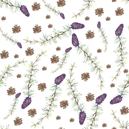 Pine branch pattern Watercolor drawing handsの写真素材