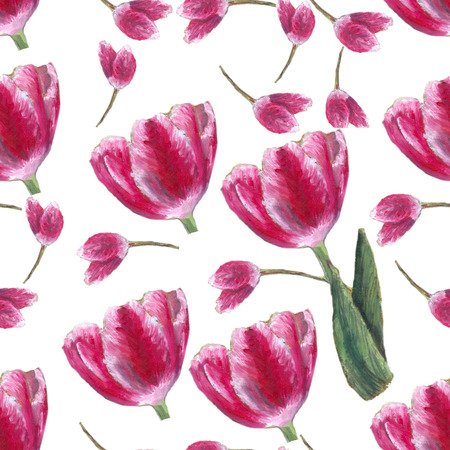 tulip pattern an oil pastel graphic designの写真素材