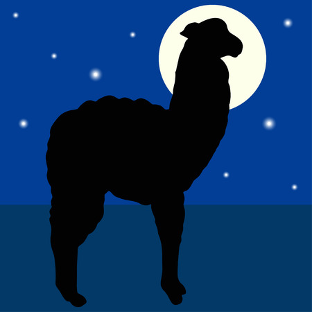 Cute llama or alpaca illustration. Silhouette on a background of a night starry sky. Amusing animal.のイラスト素材