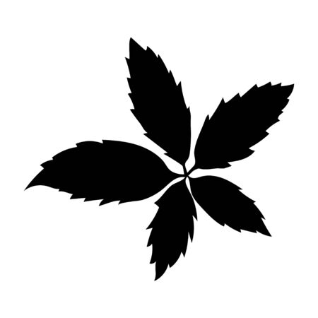 Black tropical leaf on white background for decoration design. Leaf icon. Palm tree silhouette. Vector silhouette illustration isolated. Exotic jungle wallpaper. Vector illustration nature backgroundのイラスト素材