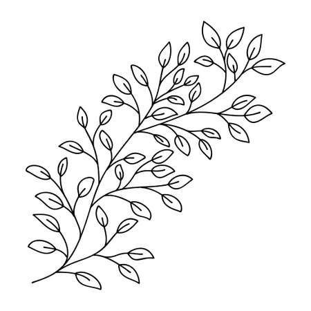 Hand drawn leaves and branch isolated on white. Doodle birch leaves for design. Vector illustration. Botanical print. Organic natural shape. Isolated birch branchのイラスト素材