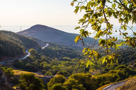Greece mountain summer Green tree roadの写真素材