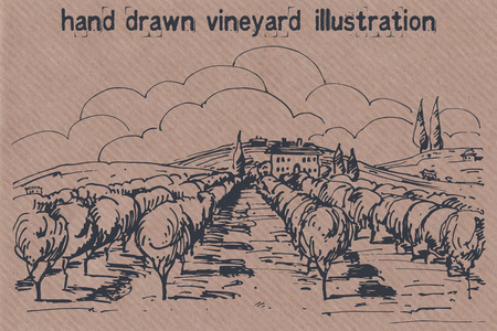 Hand drawn illustration of a vineyard. EPS 10. No transparency. No gradients.のイラスト素材