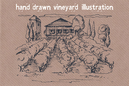 Hand drawn illustration of a vineyard. EPS 10. No transparency. No gradients.のイラスト素材