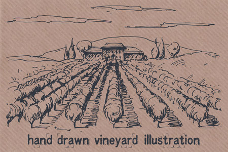 Hand drawn illustration of a vineyard. EPS 10. No transparency. No gradients.のイラスト素材
