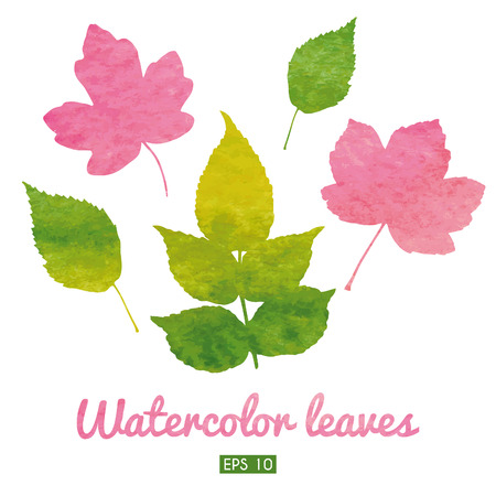 Set of beautiful watercolor leaves. No gradients. No gransparency.のイラスト素材