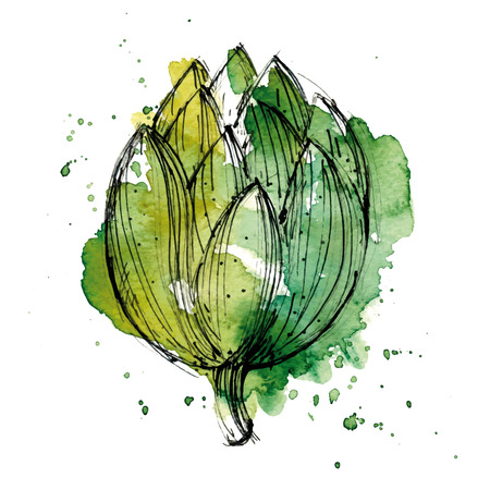 Watercolor illustration of artichoke. のイラスト素材