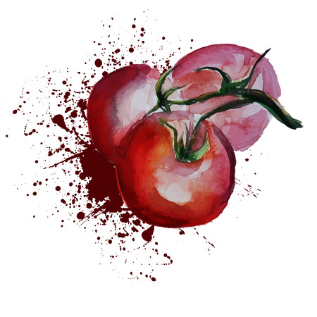 tomatoesのイラスト素材