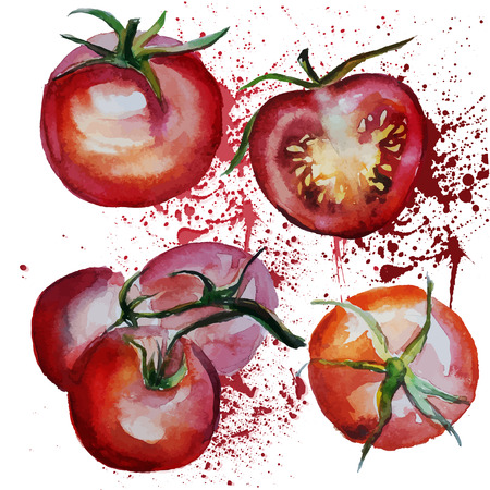 tomatoesのイラスト素材