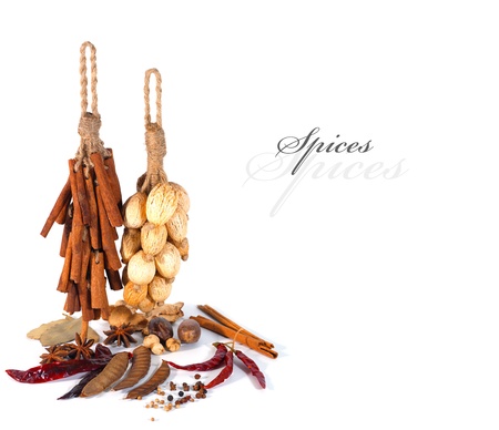 Spices assortment isolated with copy space の写真素材