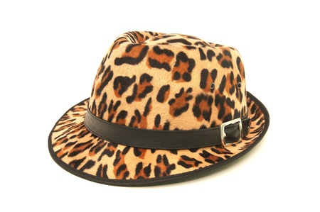 Leopard pattern hat isolated on white backgroundの写真素材