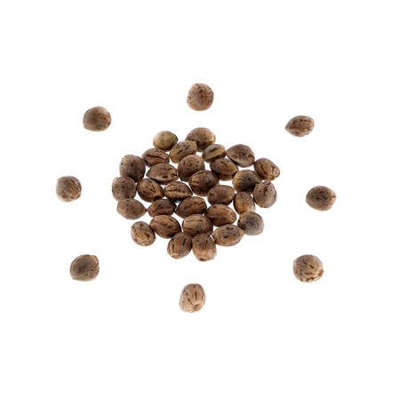 Hemp seeds isolated on white background.の写真素材