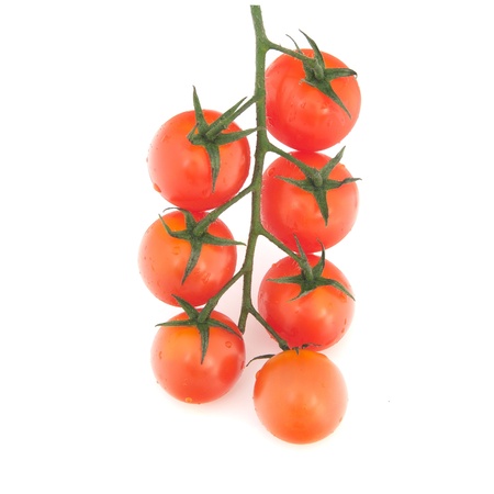 isolated branch of cherry tomatoesの写真素材