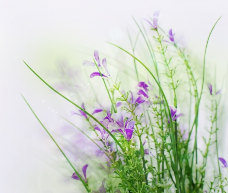 Beautiful spring flower background の写真素材